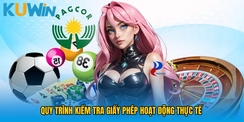 Quy trình kiểm tra Giấy phép hoạt động thực tế